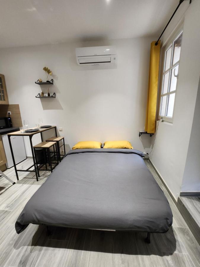 Climatise Avec Cour Prive En Rez-de-chaussee Centre Historique Apartment