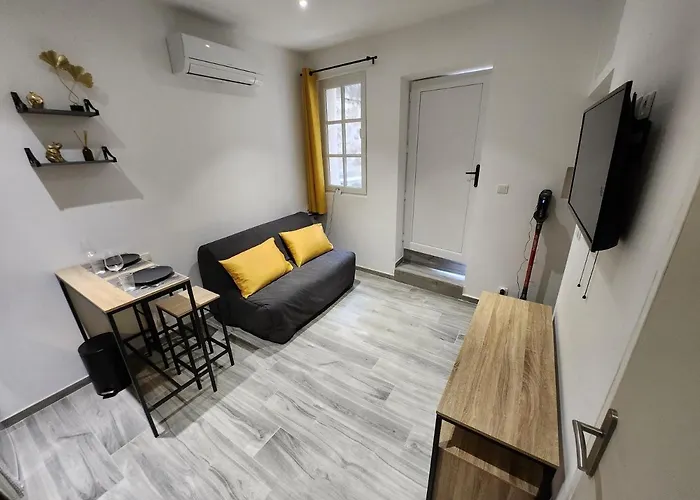 Studio Climatise Avec Cour Prive En Rez-De-Chaussee Centre Historique