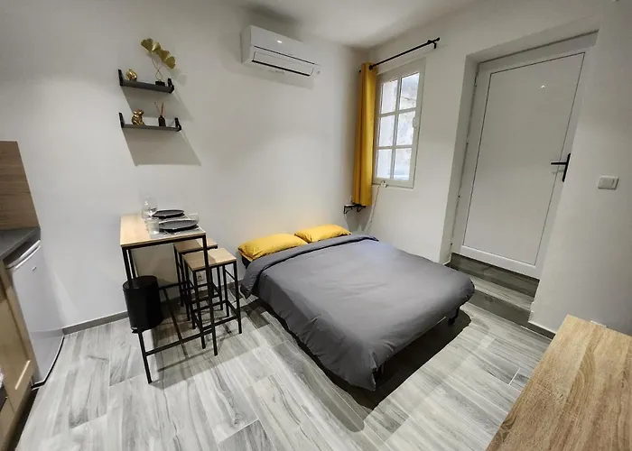 Studio Climatise Avec Cour Prive En Rez-De-Chaussee Centre Historique