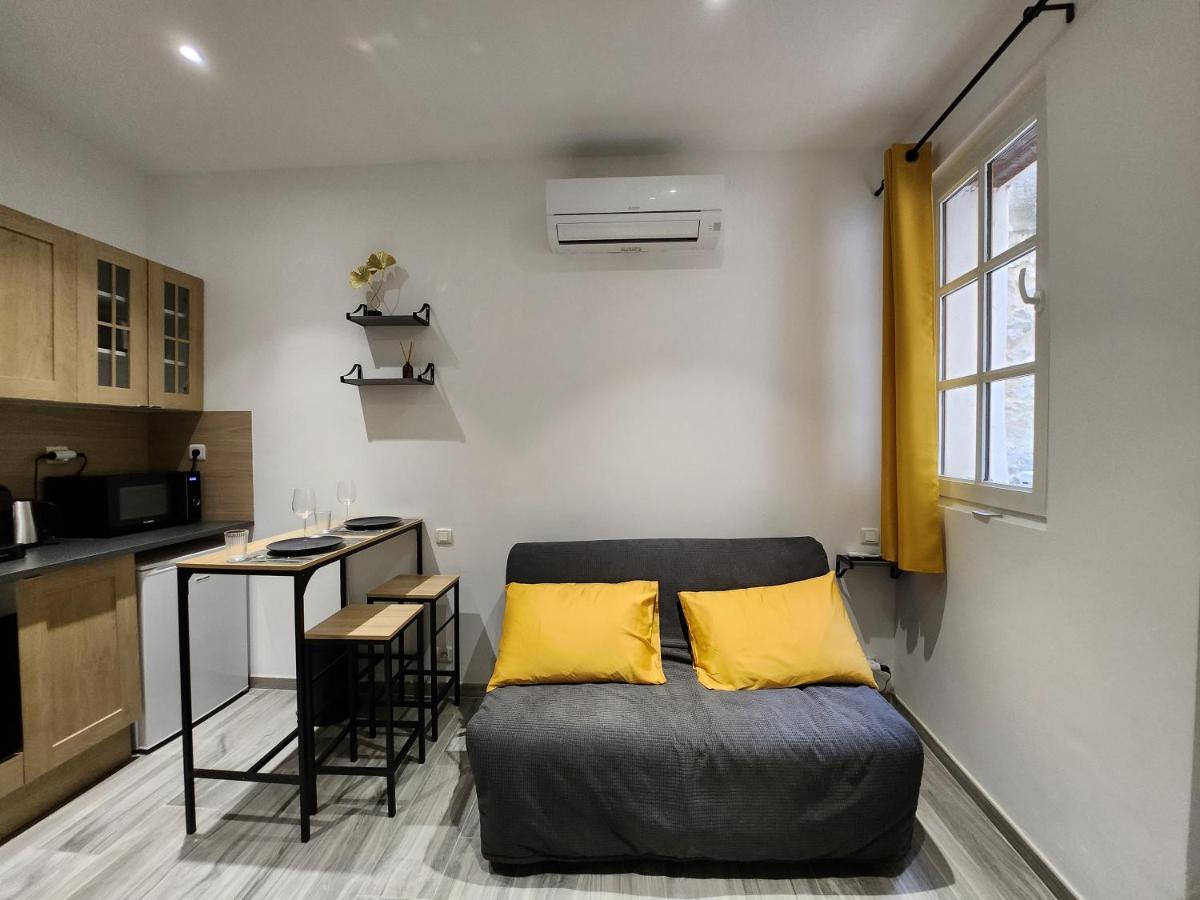 Appartement Climatise Avec Cour Prive En Rez-de-chaussee Centre Historique